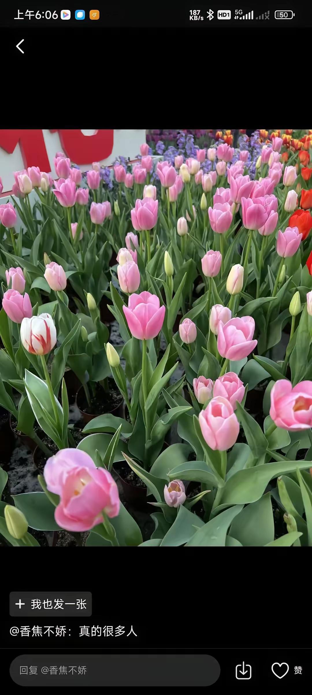 活的太累啦？
夫妻中老伴先走的入土为安，老公再续弦，若二婚是离过婚的估计就得和你