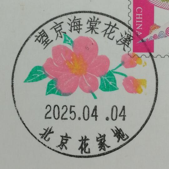 花开的时候