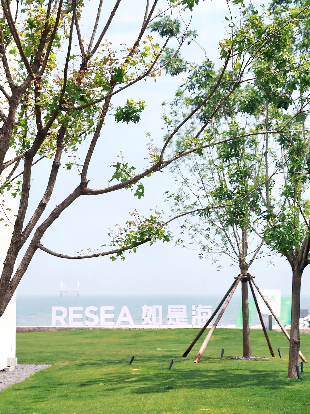 这片海夏天没台风，我直接连住三天🌊