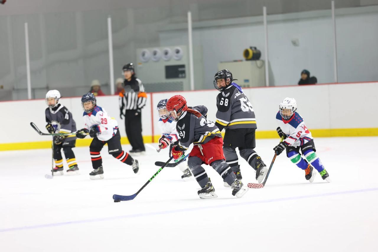 📢冬季到河北来玩雪啊！冬季到河北来玩雪 户外在河北 
🎉🎉🎉2025-2