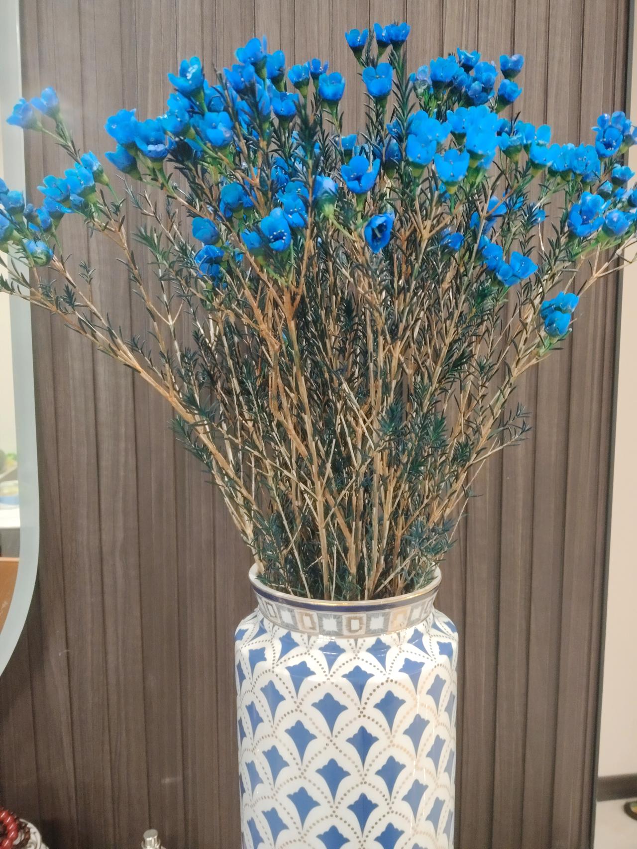 又是一年岁末年初，无论是正在苦读的学子，还是努力打拼的成人，抓住机遇， 努力遇到