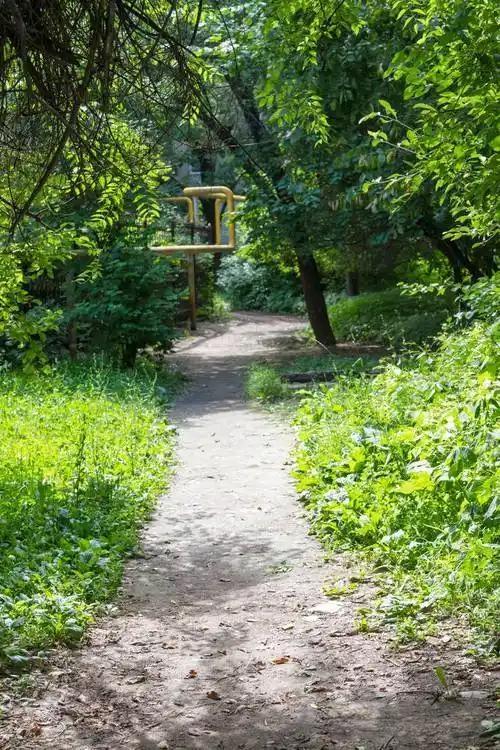 不知道你发现没有，生活里有个挺怪的现象。

单位里那个最好说话的人，谁找他帮忙都