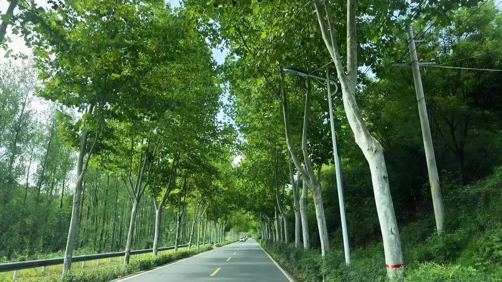 翻山越岭 徒步三个小时 风景很美 体力跟不上的就别来了 已累瘫😅