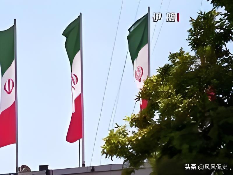 央视这波深夜猛料，看得人后背直冒冷汗！
 
整整30个人！全被伊朗情报部门一锅端