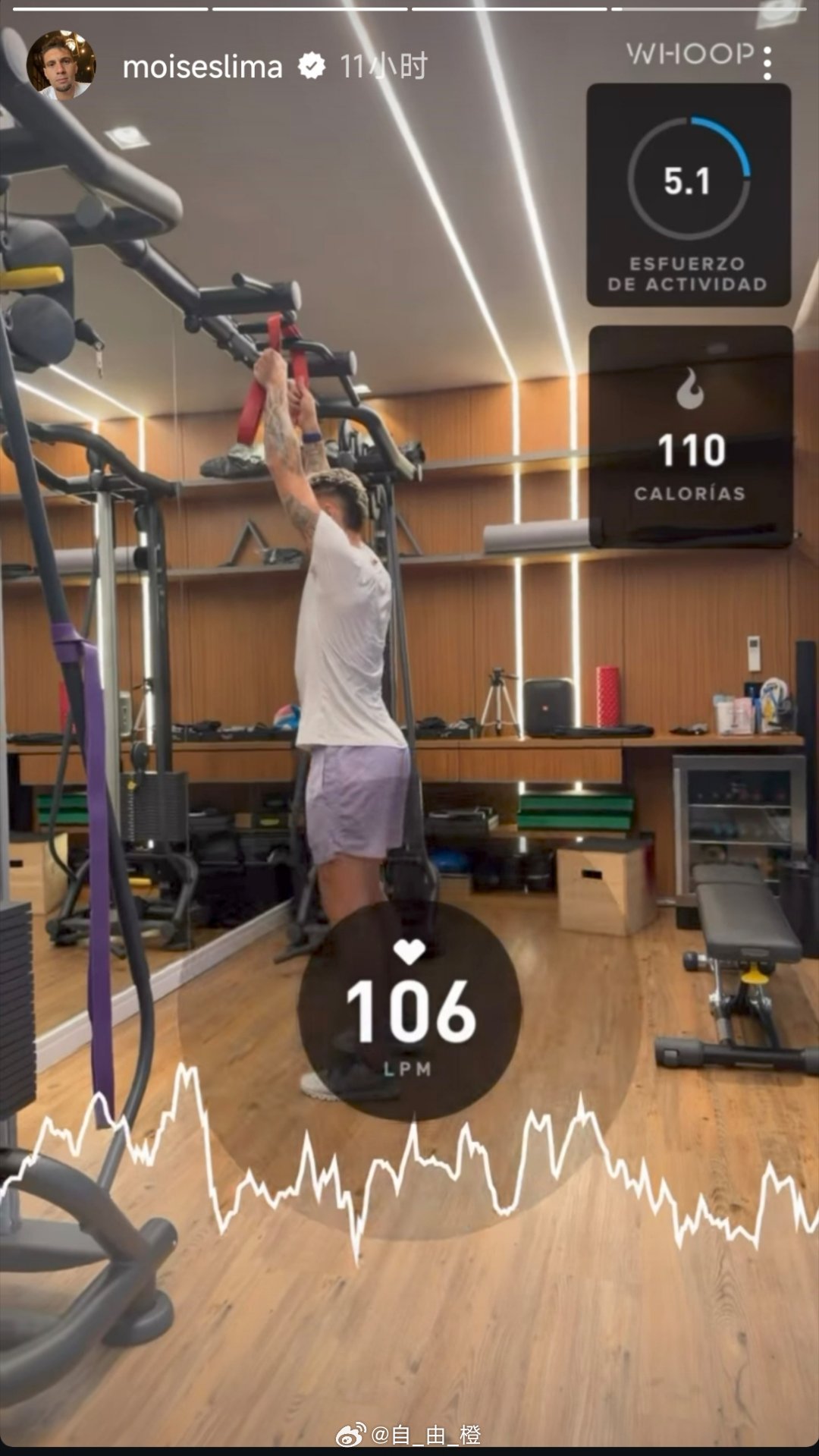 莫伊塞斯社媒动态自由橙山东泰山