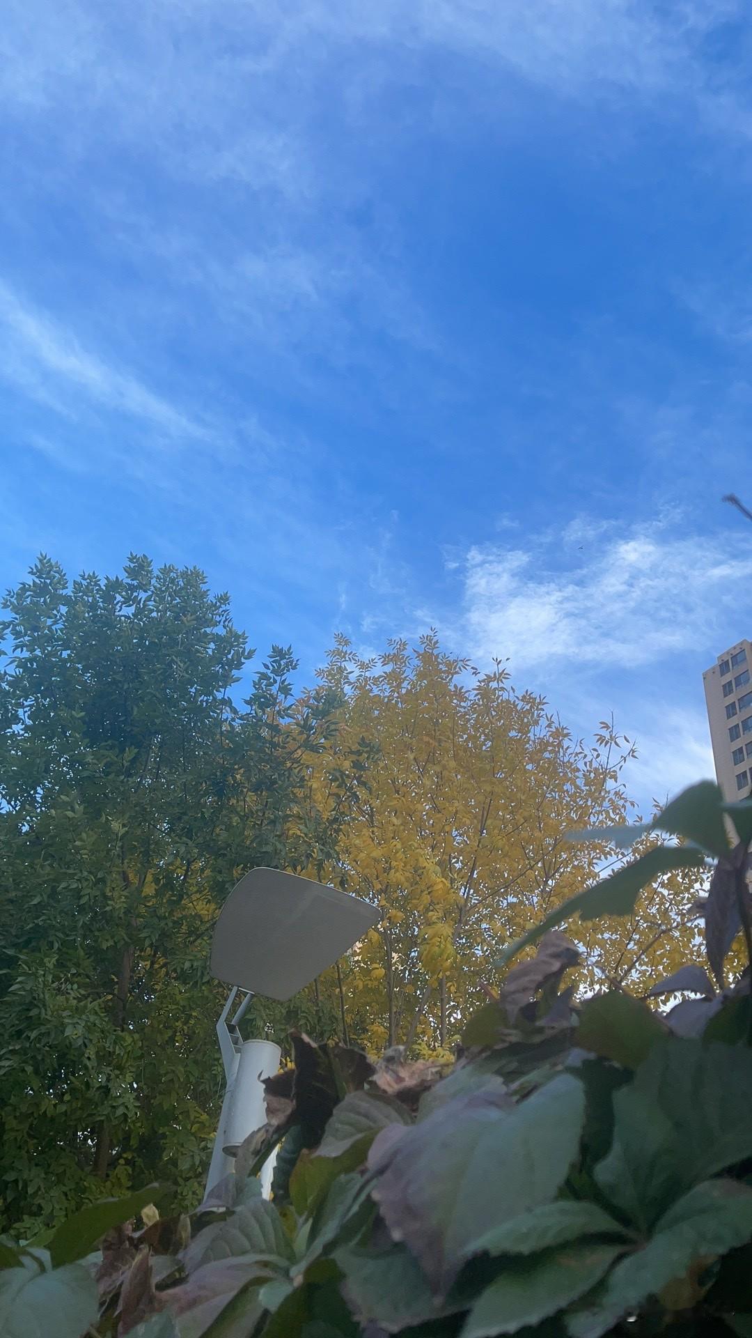 看国际新闻，就是伊朗的事！
跟着看，就上瘾！
现在的情况很清楚……美国不想打了，