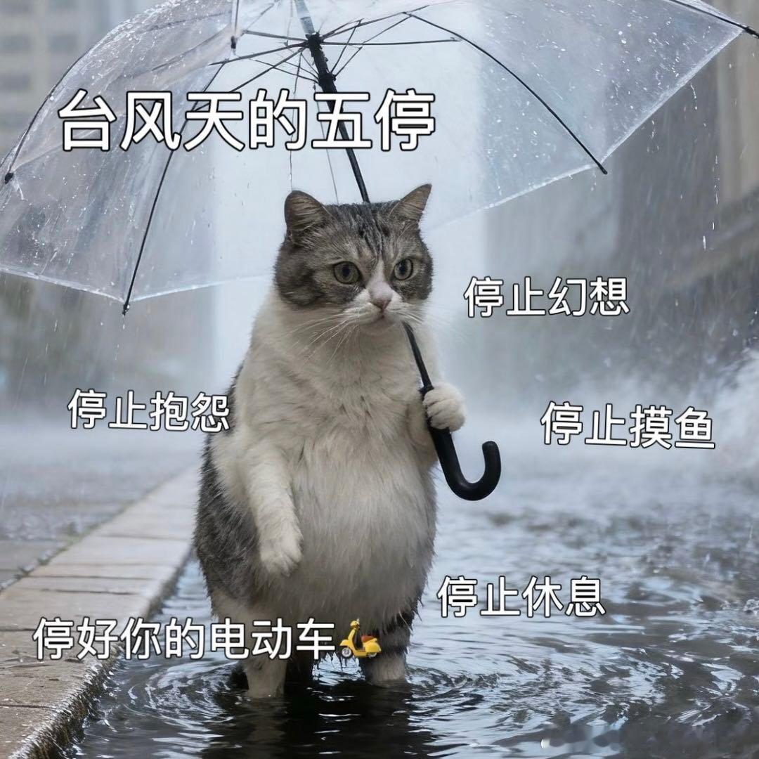 浙江人又有囤零食的理由了 不跟大家挤着抢生鲜物资，我的台风天备战清单，全是追剧解