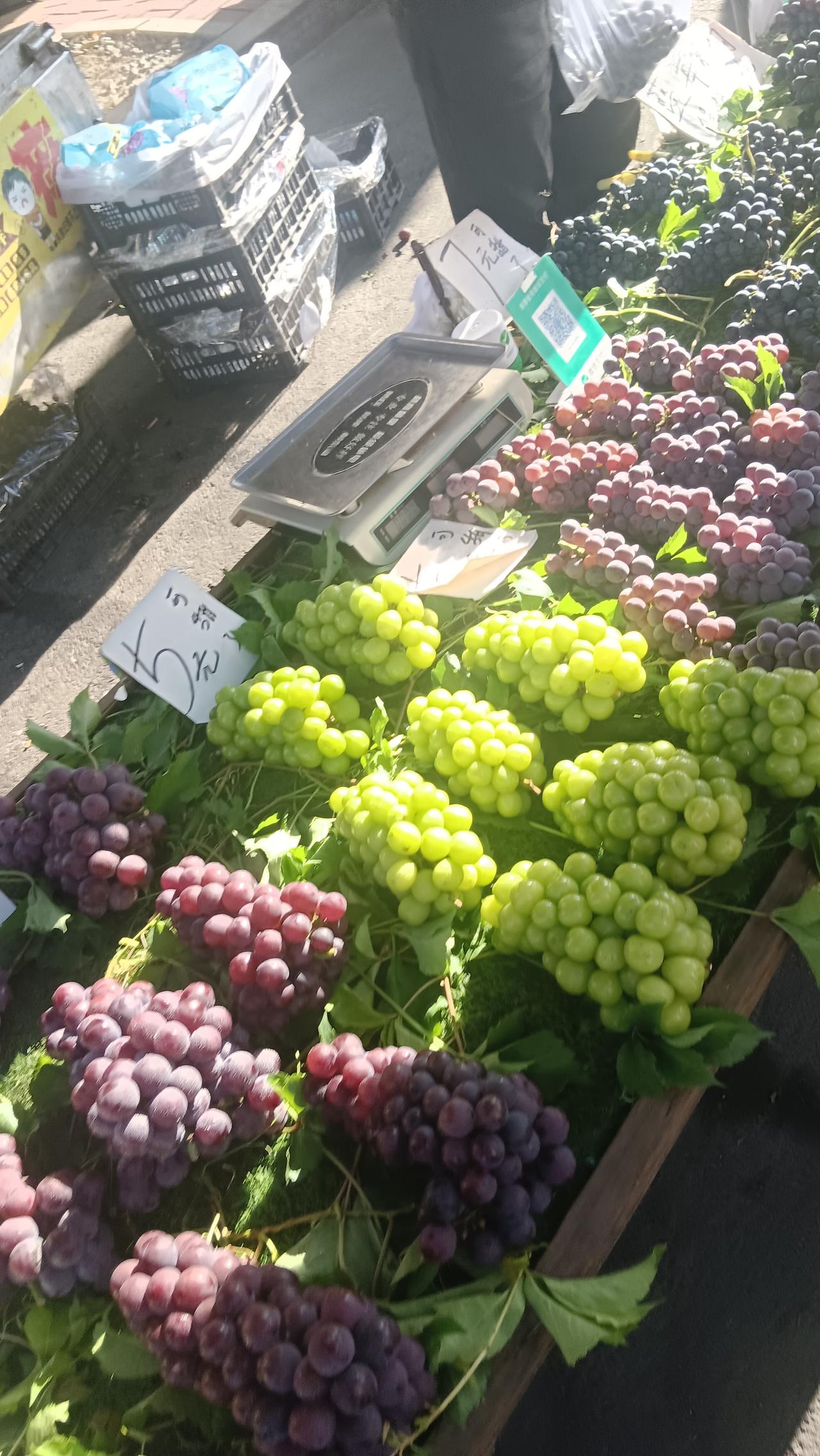 标题：清晨逛逛早市，感受平凡烟火
早起来到热闹的早市，新鲜蔬菜、水果、早点摊都冒