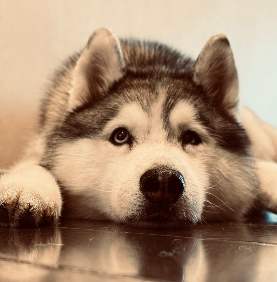 惹不起的第四节！