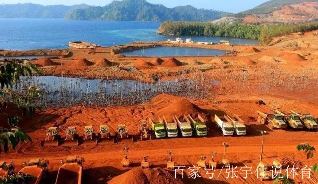 印尼这波操作，简直就是"阿三杀猪盘"的东南亚升级版！咱们140亿美元（约953亿