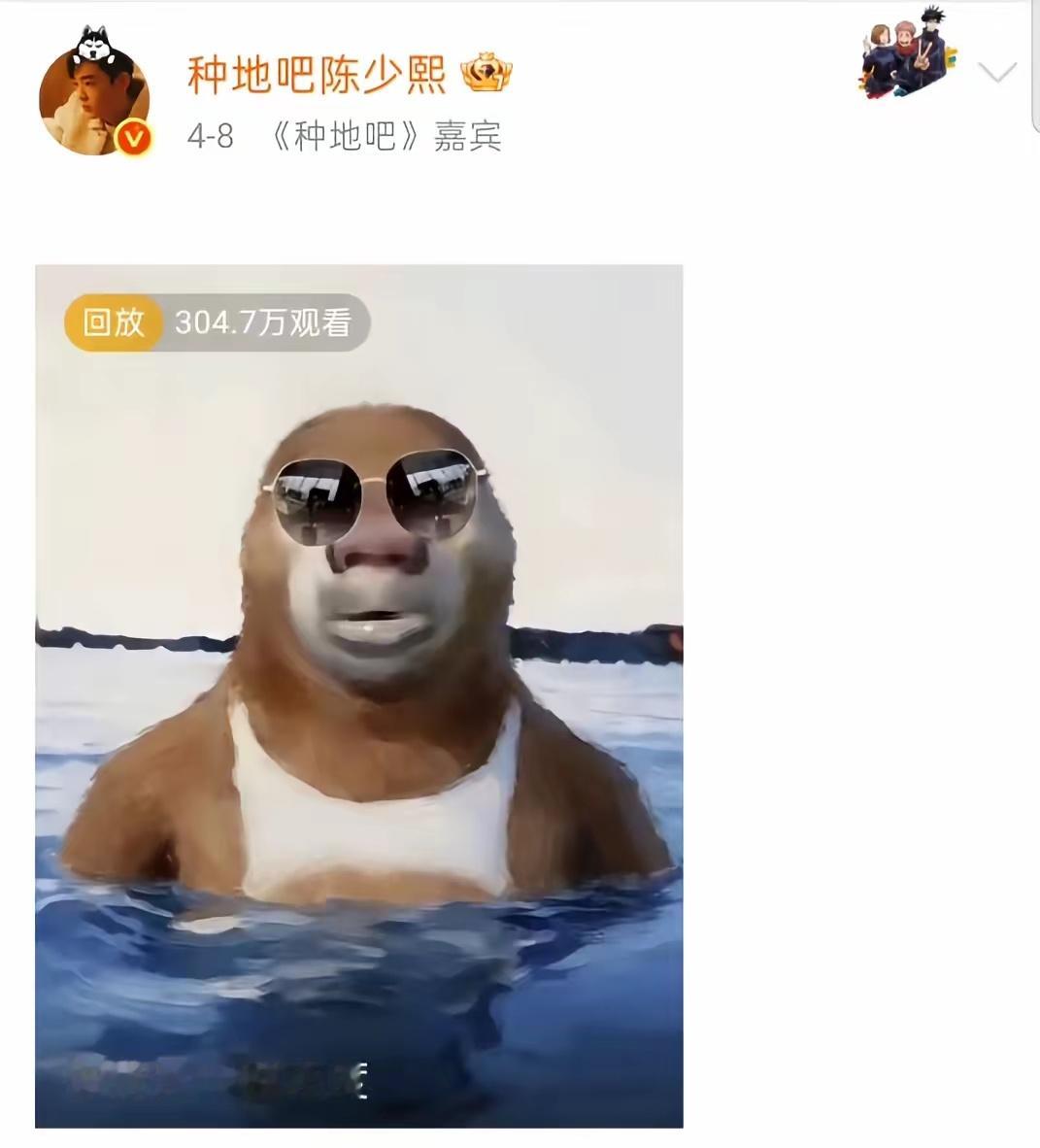 陈少熙雷霆直播封面有： 