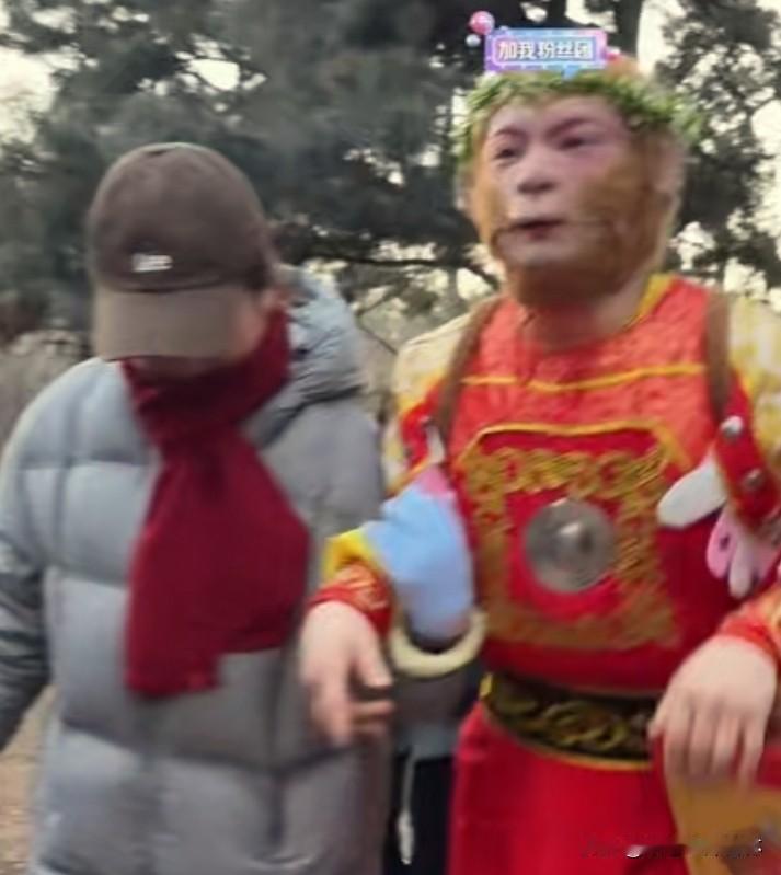 太拼了，王铁柱带病上岗。
刚刚看吉林动植物网红王铁柱上班的直播，虽然铁柱精神状态