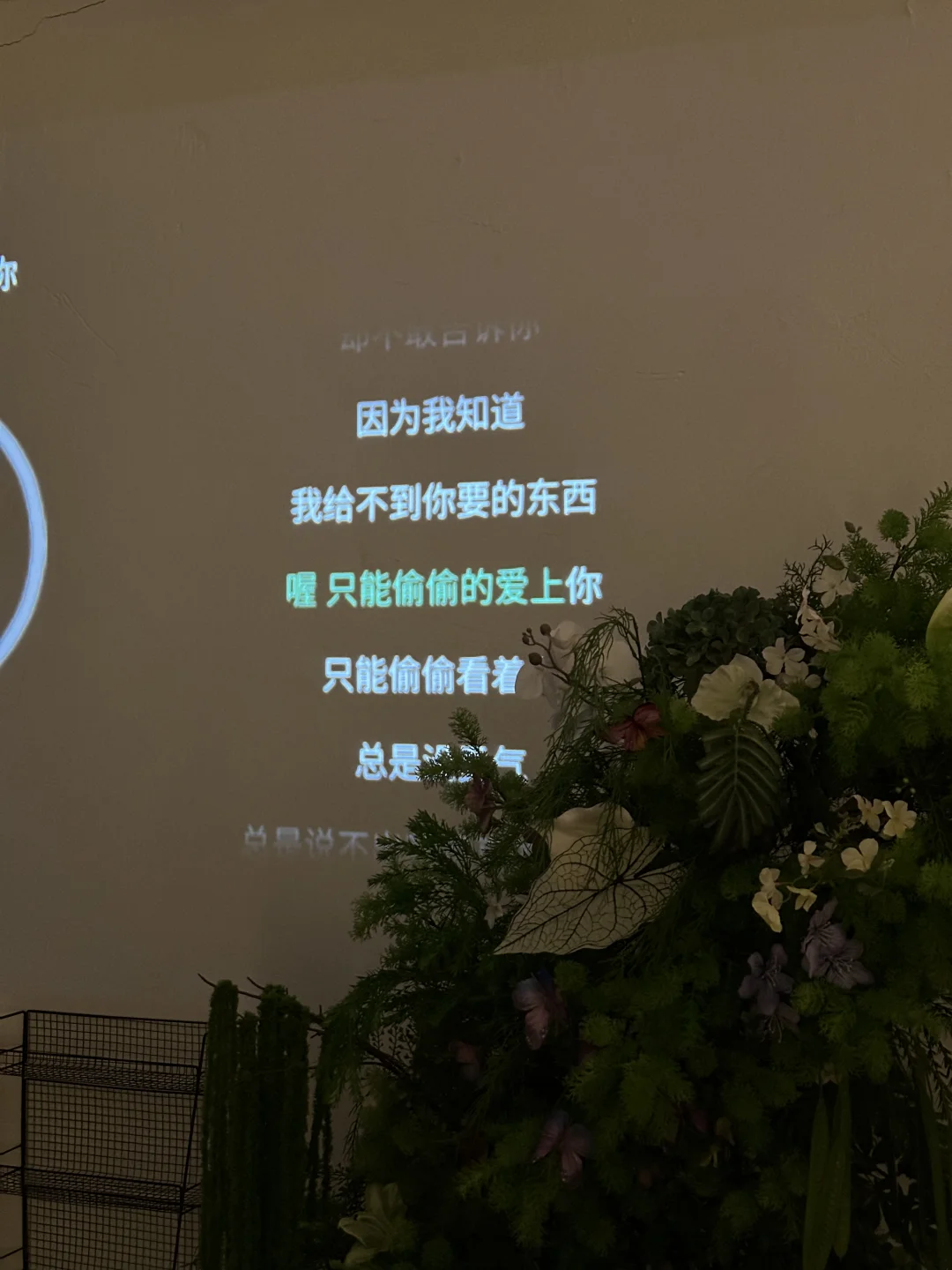 一伴的新系列