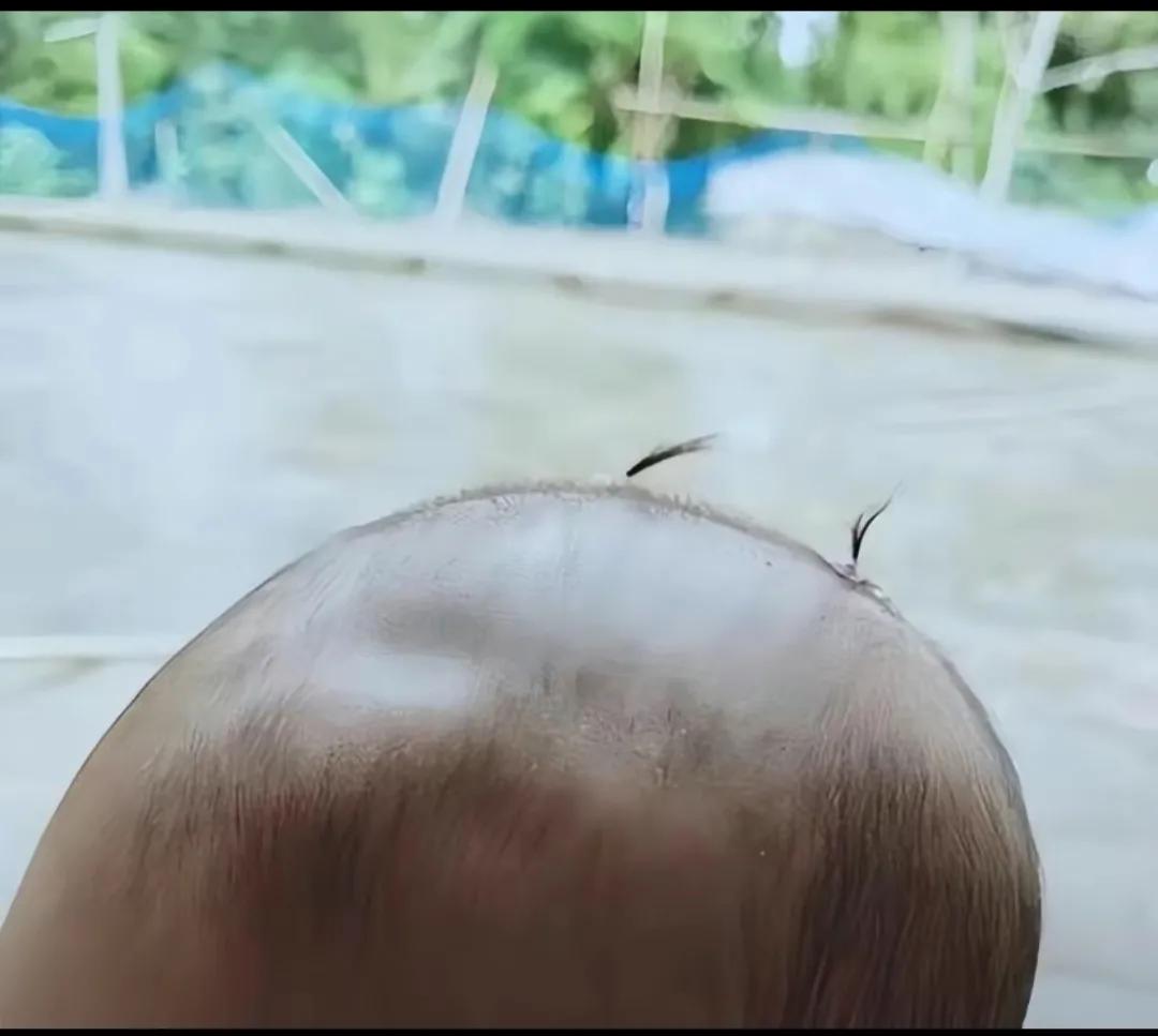 头发限制了我的发挥[不看][不看]