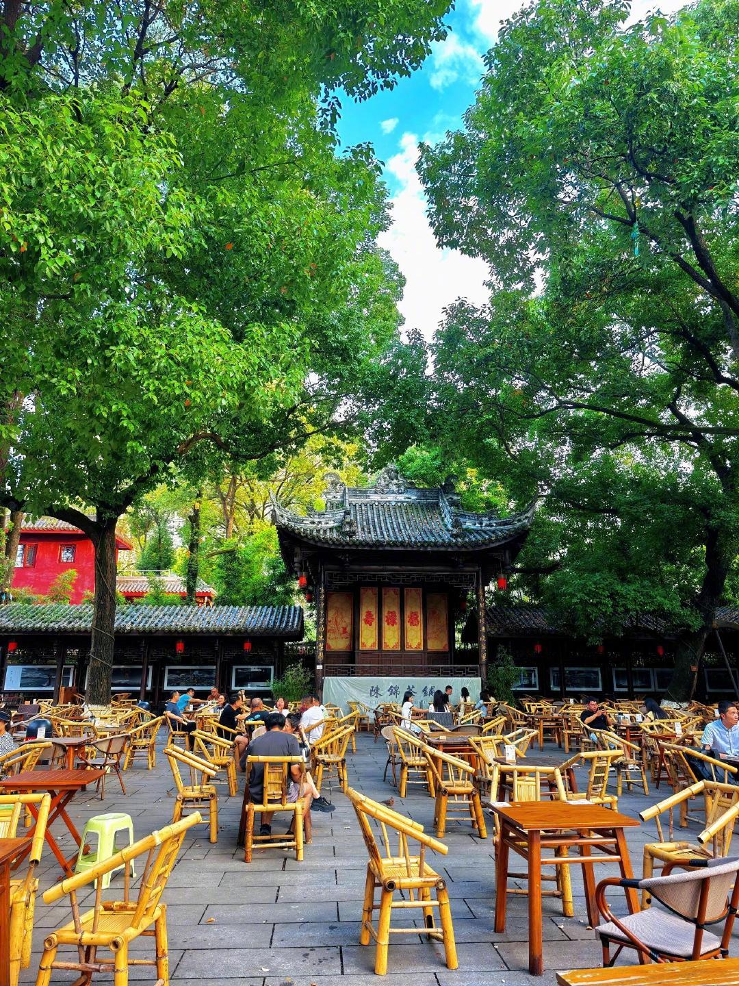 【成都的春天有多快乐】春意盎然，蓉城回暖，随着气温稳步回升，成都正式迎来烂漫春日