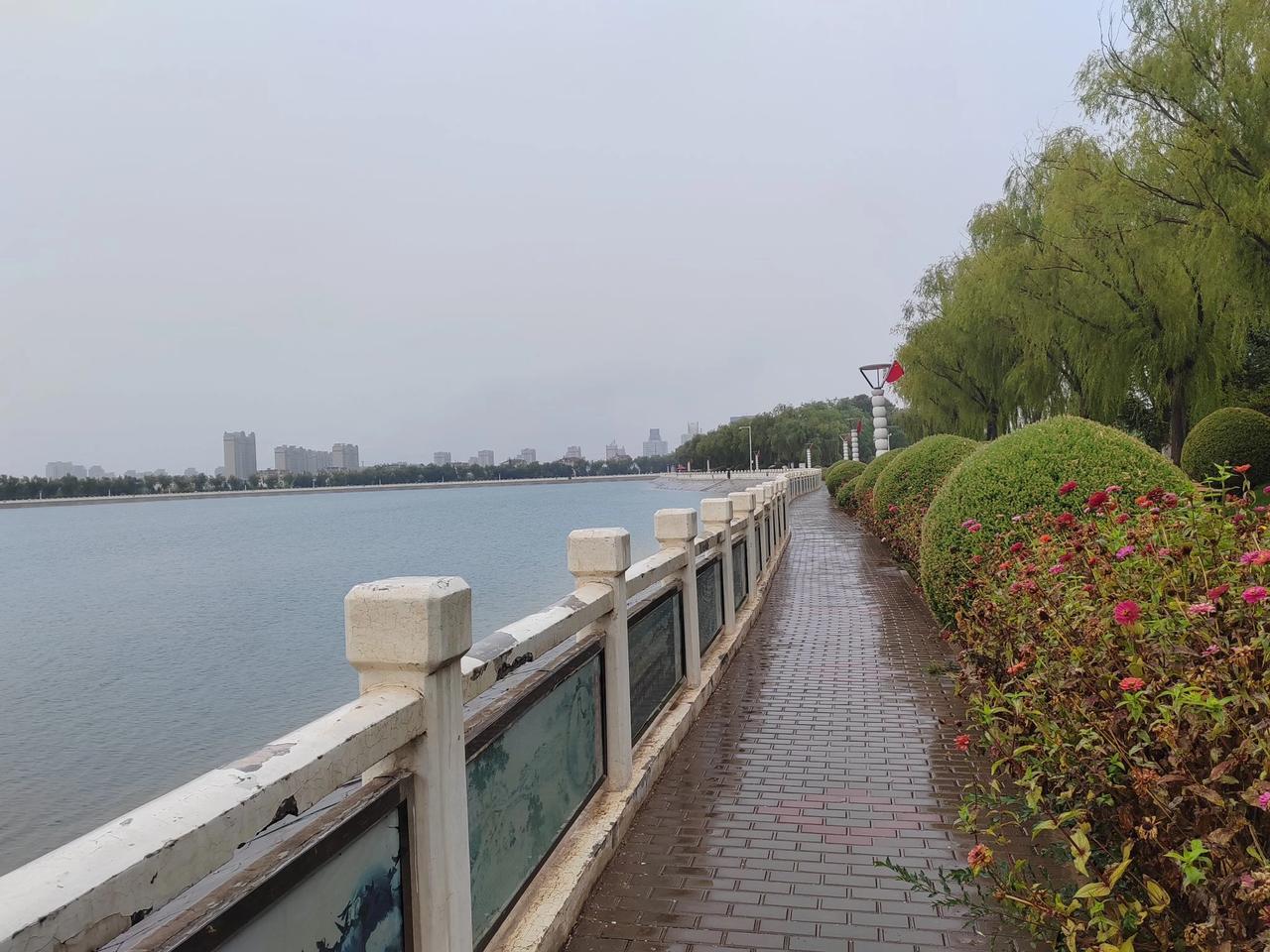#秋日生活打卡季#秋雨秋景