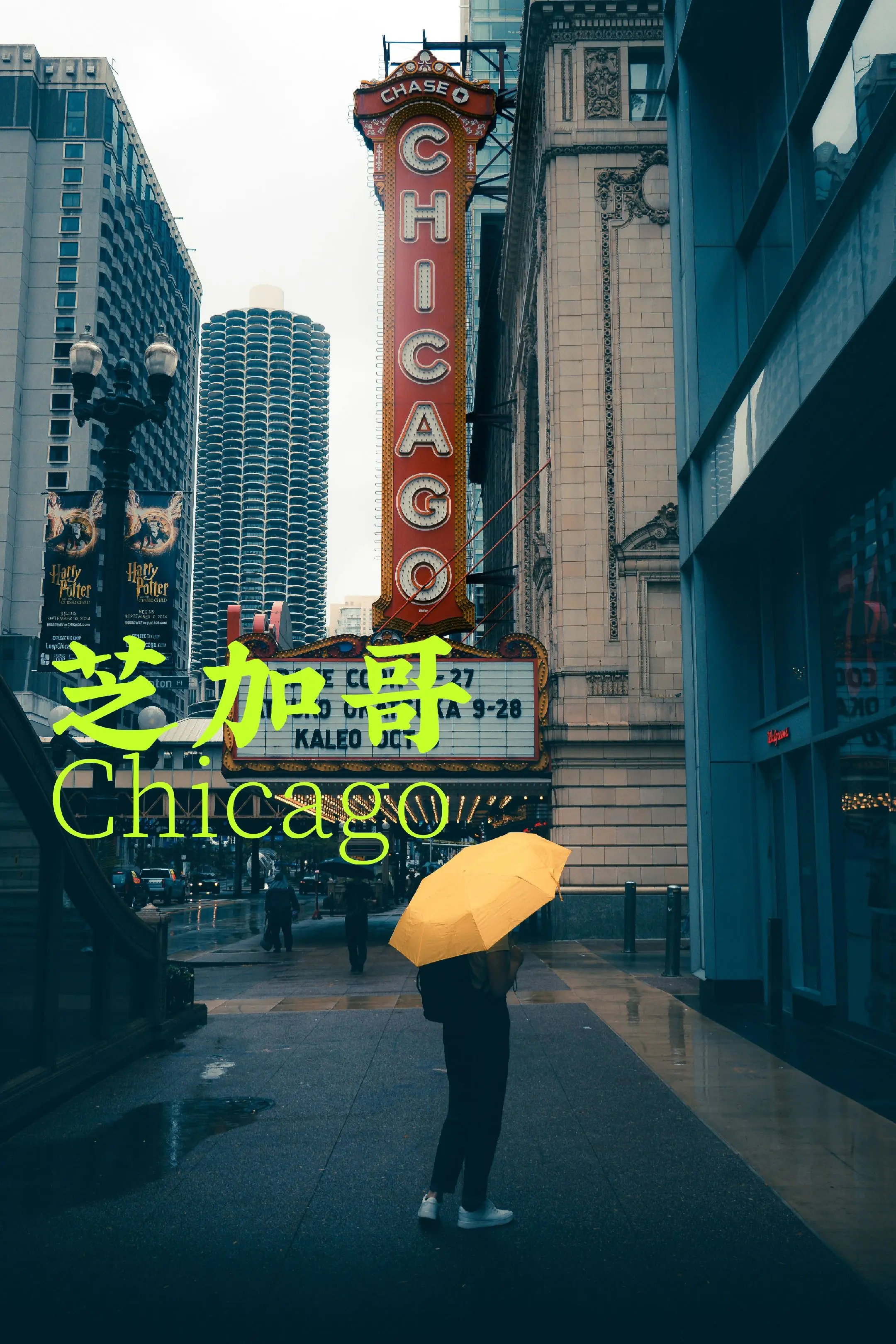 找不到答案时，就去看看这个世界🌸「📍：芝加哥Chicago🇺🇸...