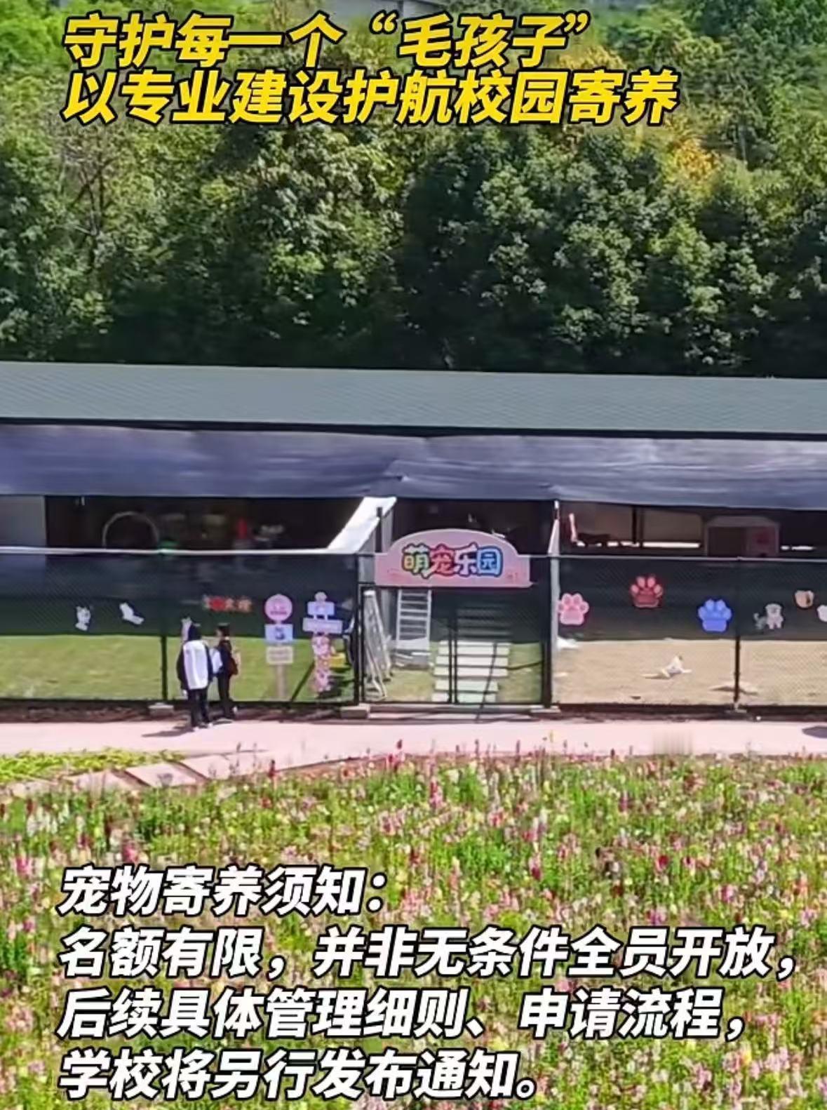 最近刷到好几所高校官宣可以带宠物上学的消息，一开始我还以为是网友瞎编的段子，点进