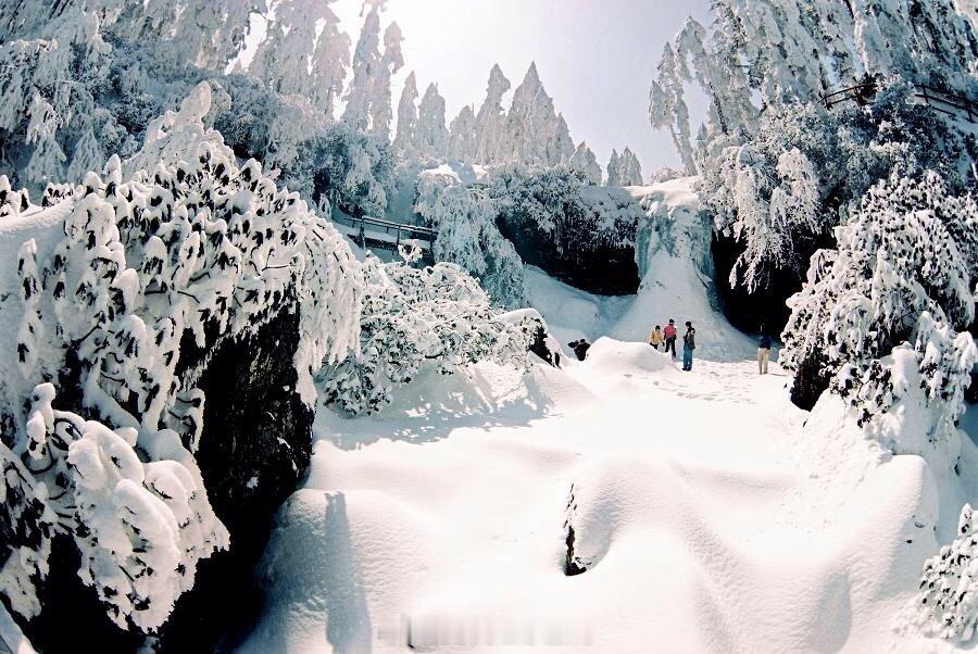 【四川•瓦屋山】飞瀑流泉，山顶15000亩冷杉、剑竹吐翠，郁郁葱葱，乘船经瓦屋山