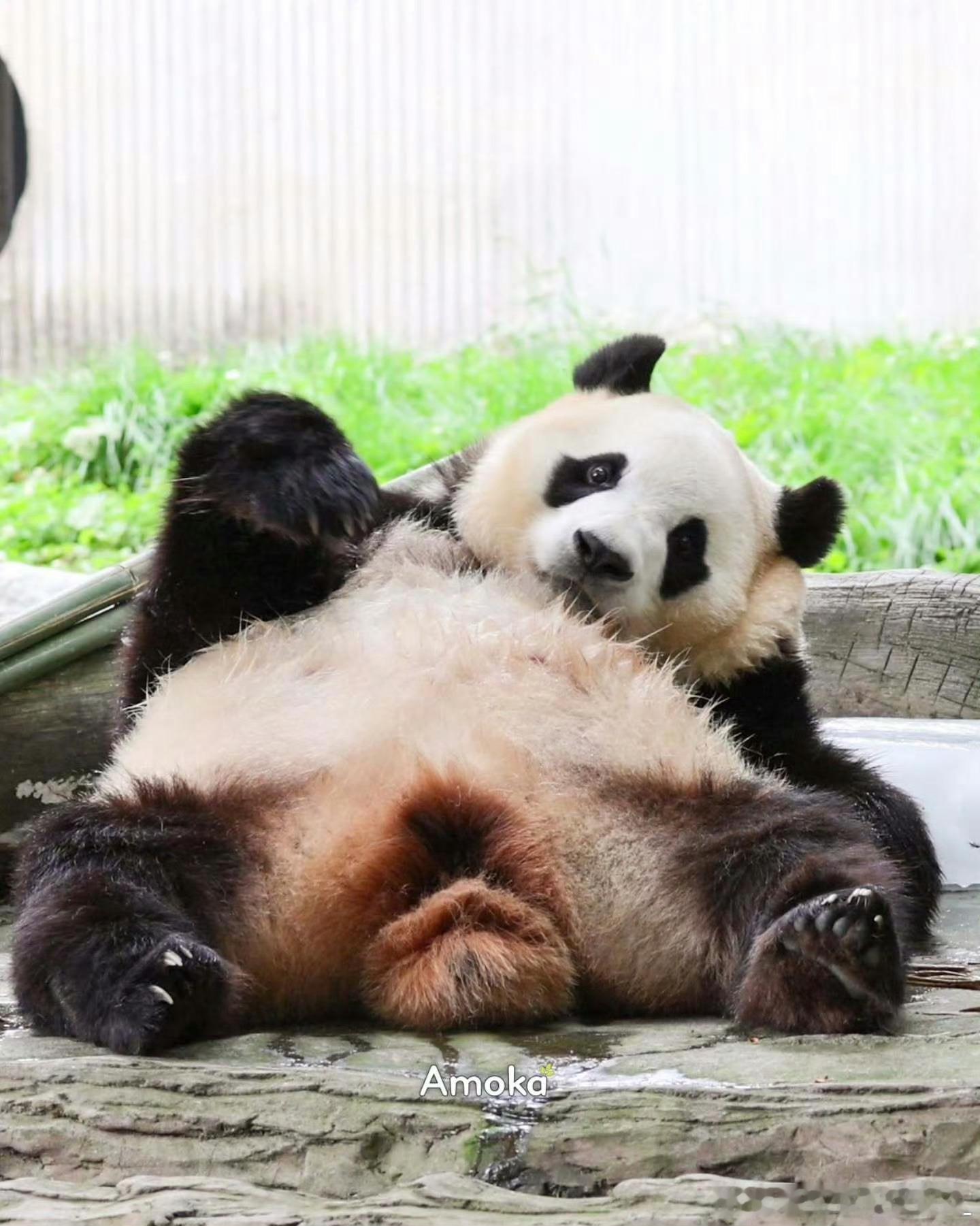 每天早起打卡早安安～ 