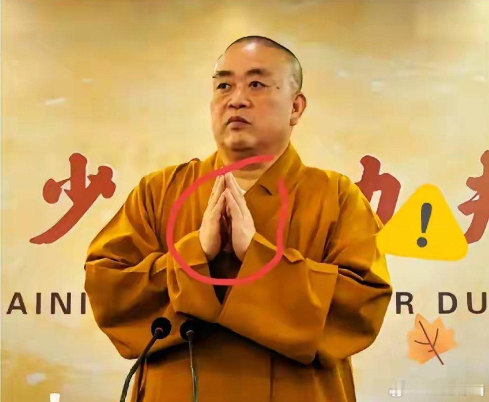 释小龙 释永信60岁进去了，不可怜他的情妇没名分，也不可怜。可怜的是他的私生子，