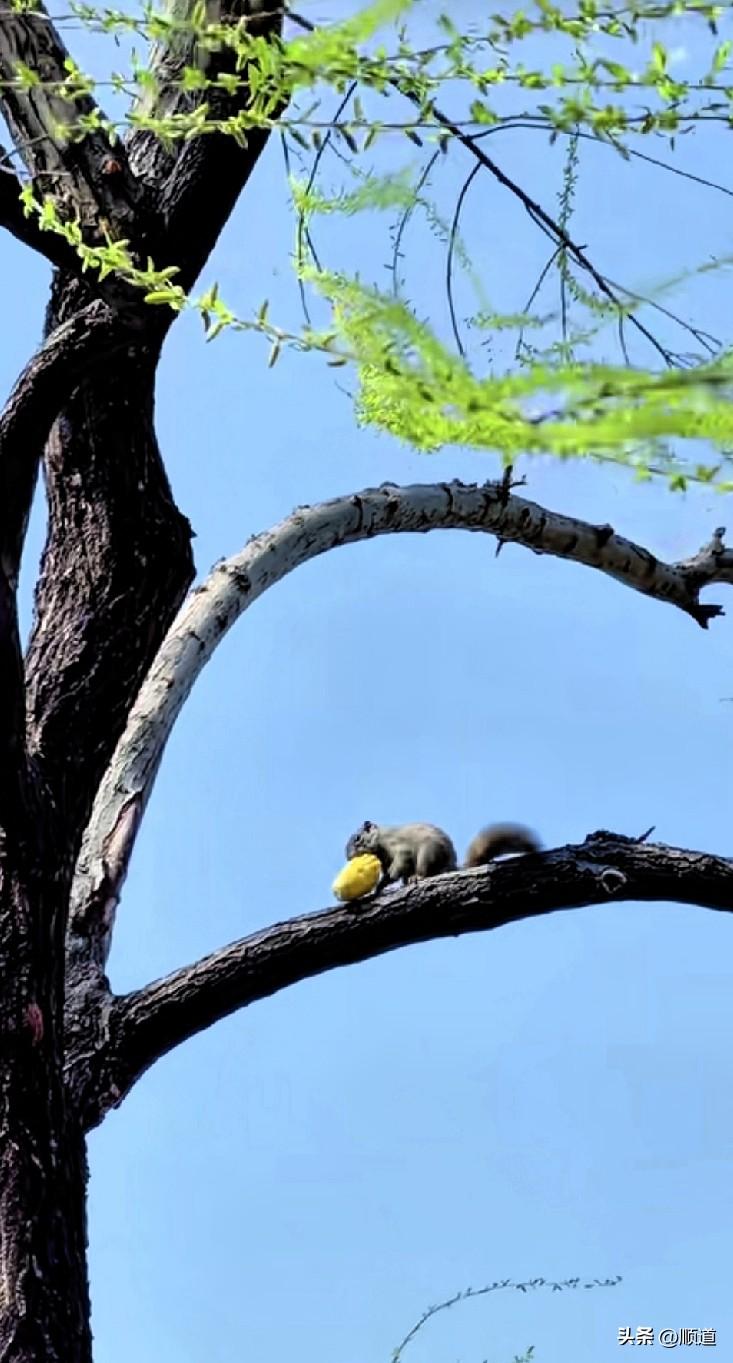 44岁离异带一女孩儿女子和大她12岁男子在一起5年了。
4个月前男子说咱俩分开一