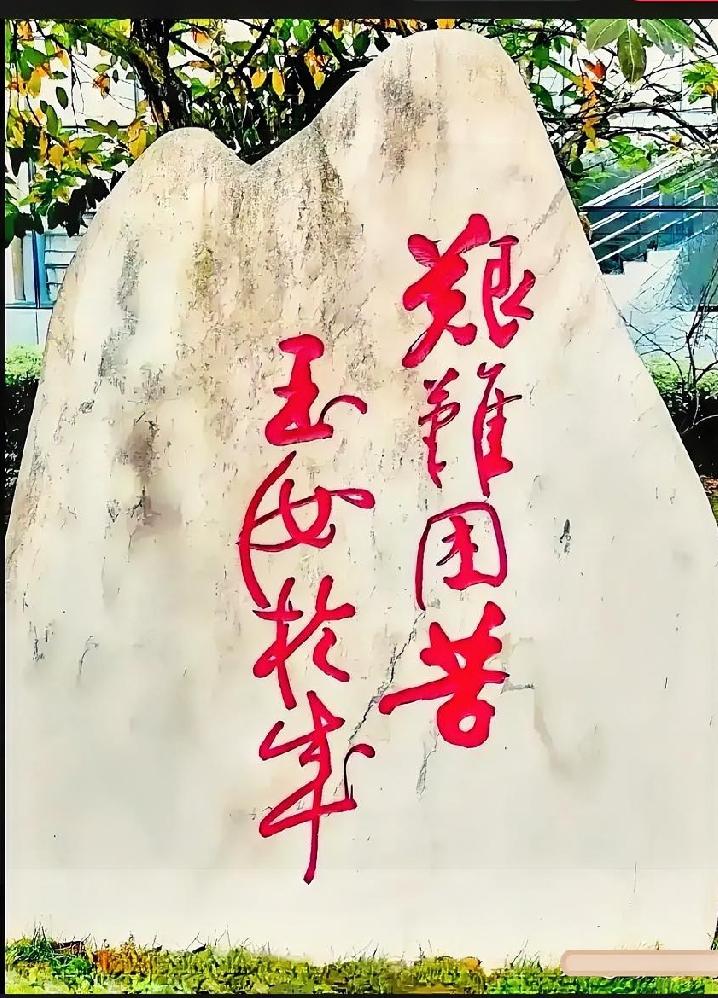藏在山石里的千古箴言，读懂的人都不惧人生风雨

这块励志石刻的八字名句，藏着千古