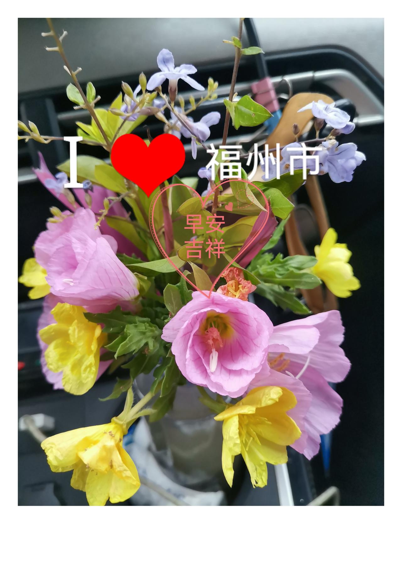 早安吉祥，幸福安康，
万事如意，身体健康。
每日祝福早安 暖心早安祝福语 暖心早