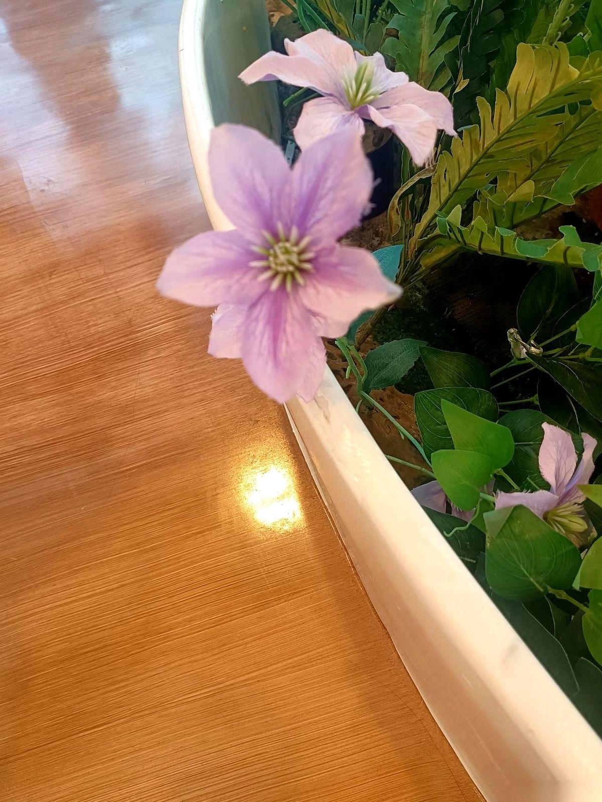 一对夫妻因为要不要给个29岁的姑娘介绍对象吵了一架，妻子硬是把老公当红娘的念头给