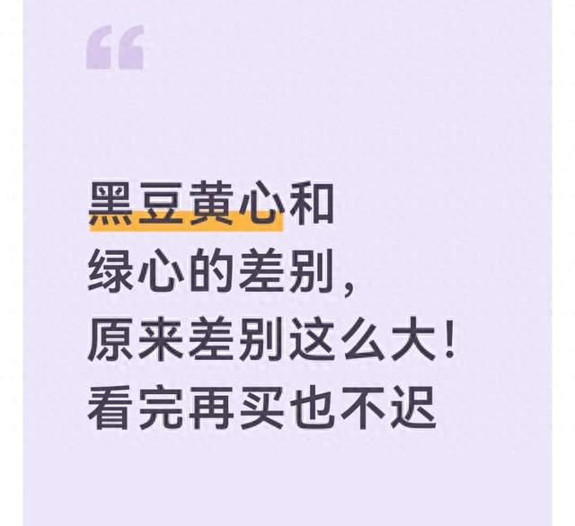 黑豆黄心和绿心的差别，原来差别这么大！看完再买也不迟