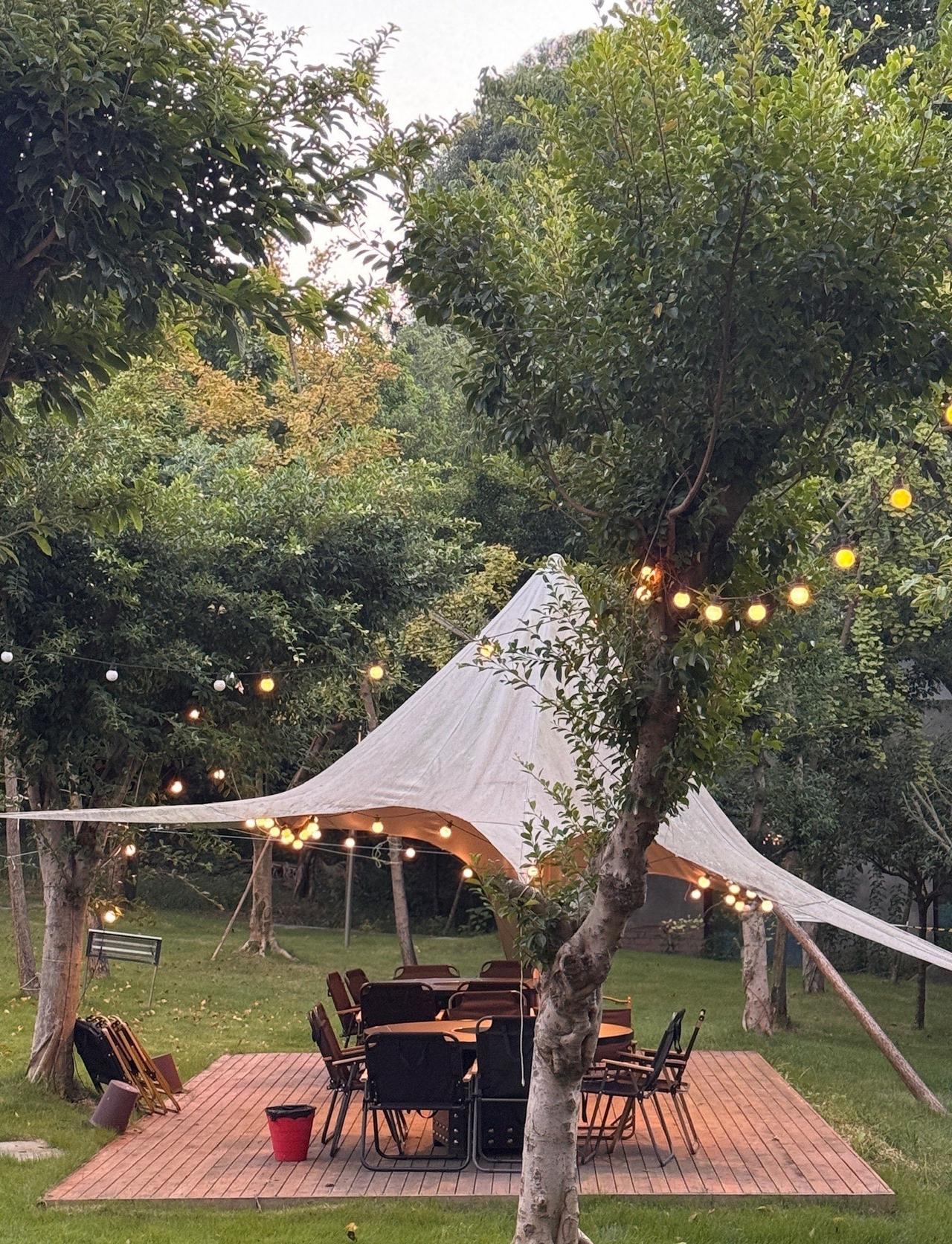 谁懂啊！在城市周边居然藏着这么一片森系秘境🏕️～驱车不到30分钟，瞬间从喧嚣切