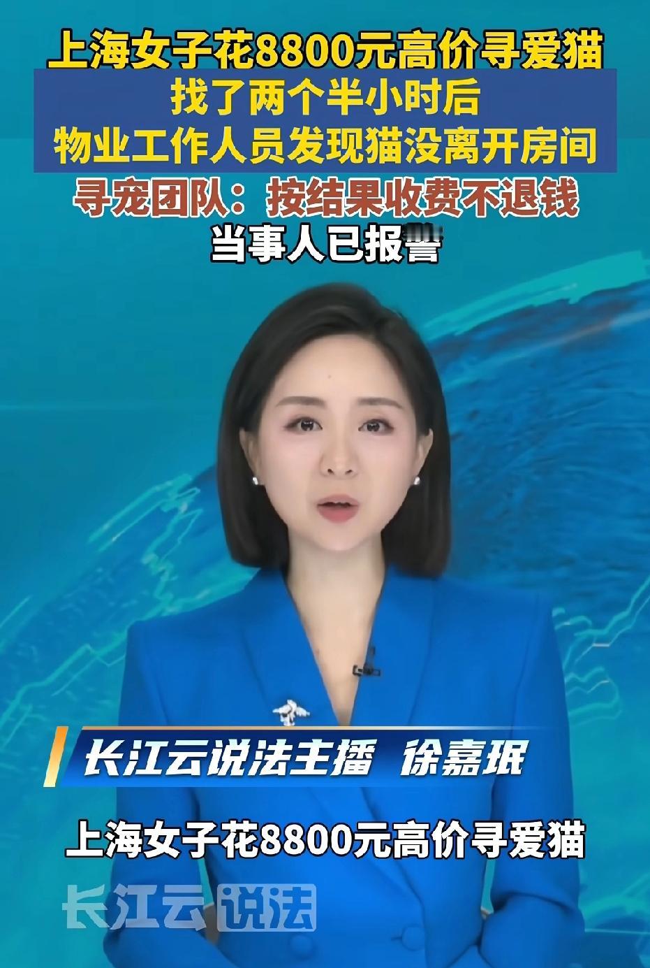 上海，女子发现猫不见了，她花8800元联系寻宠团队找猫，团队2个小时寻找未果，不