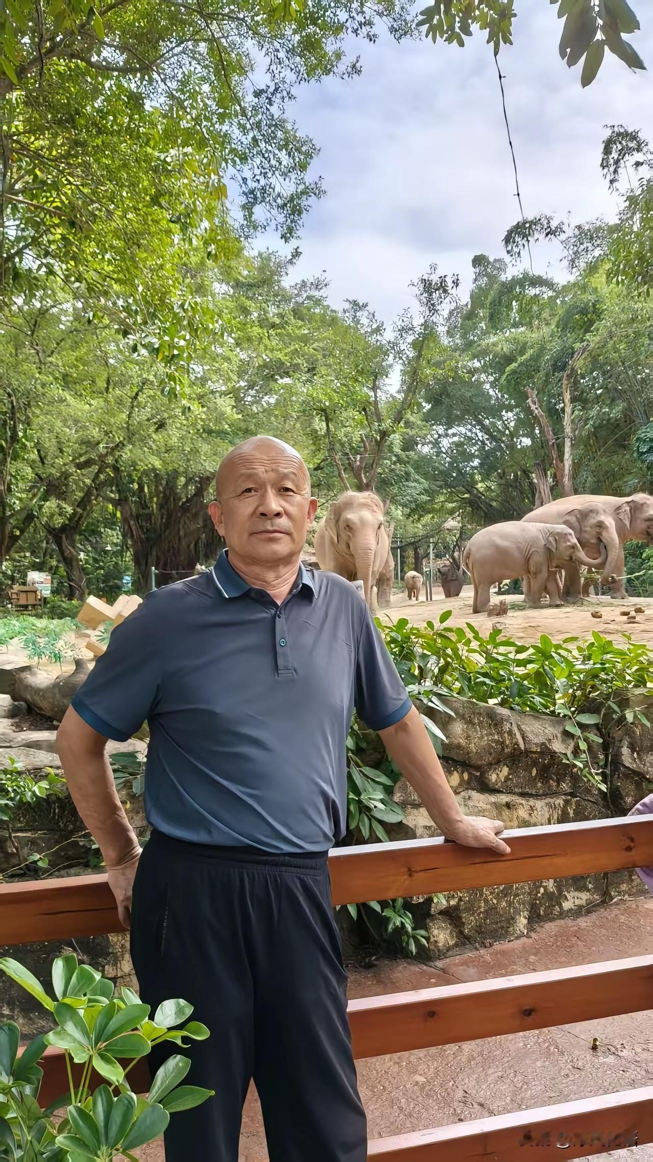 你们身边的老人有喜欢的爱好吗?
肯定爱好不少。有的人喜欢跳广场舞，有的人喜欢打牌