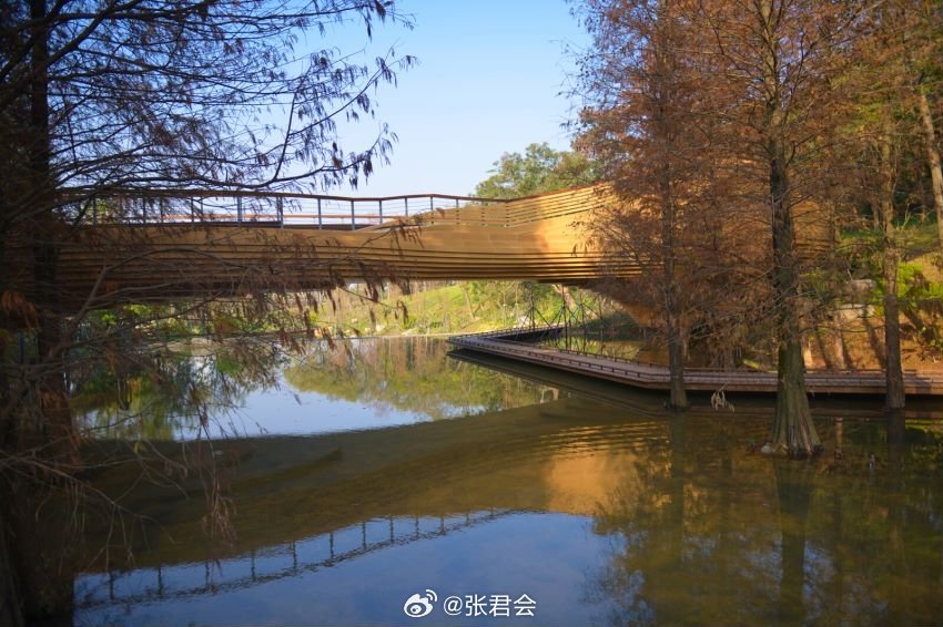 阔别三年，以前常常去散步的云溪生态公园升级归来！升级改造之后全新的这里叫做云溪植