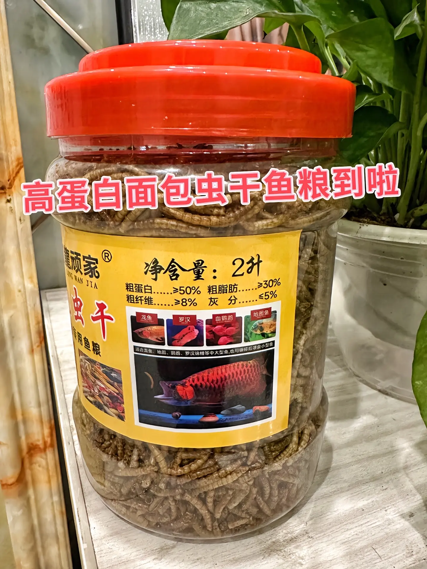 还在纠结喂啥鱼粮？高蛋白面包虫干鱼粮了解一下！粗蛋白含量≥50% 天然...