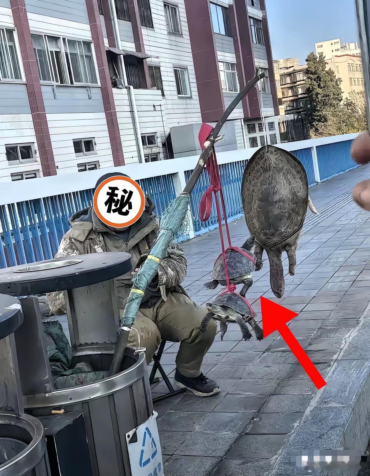 街头拎着大王八的迷彩服大爷底裤终于被人扒出来了最近各大路口，总能撞见穿得灰头土脸