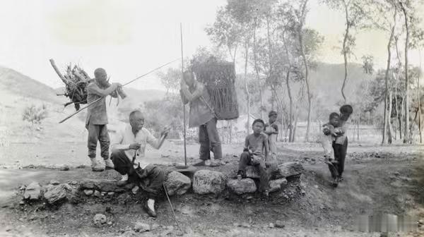 收集柴火，1920年 