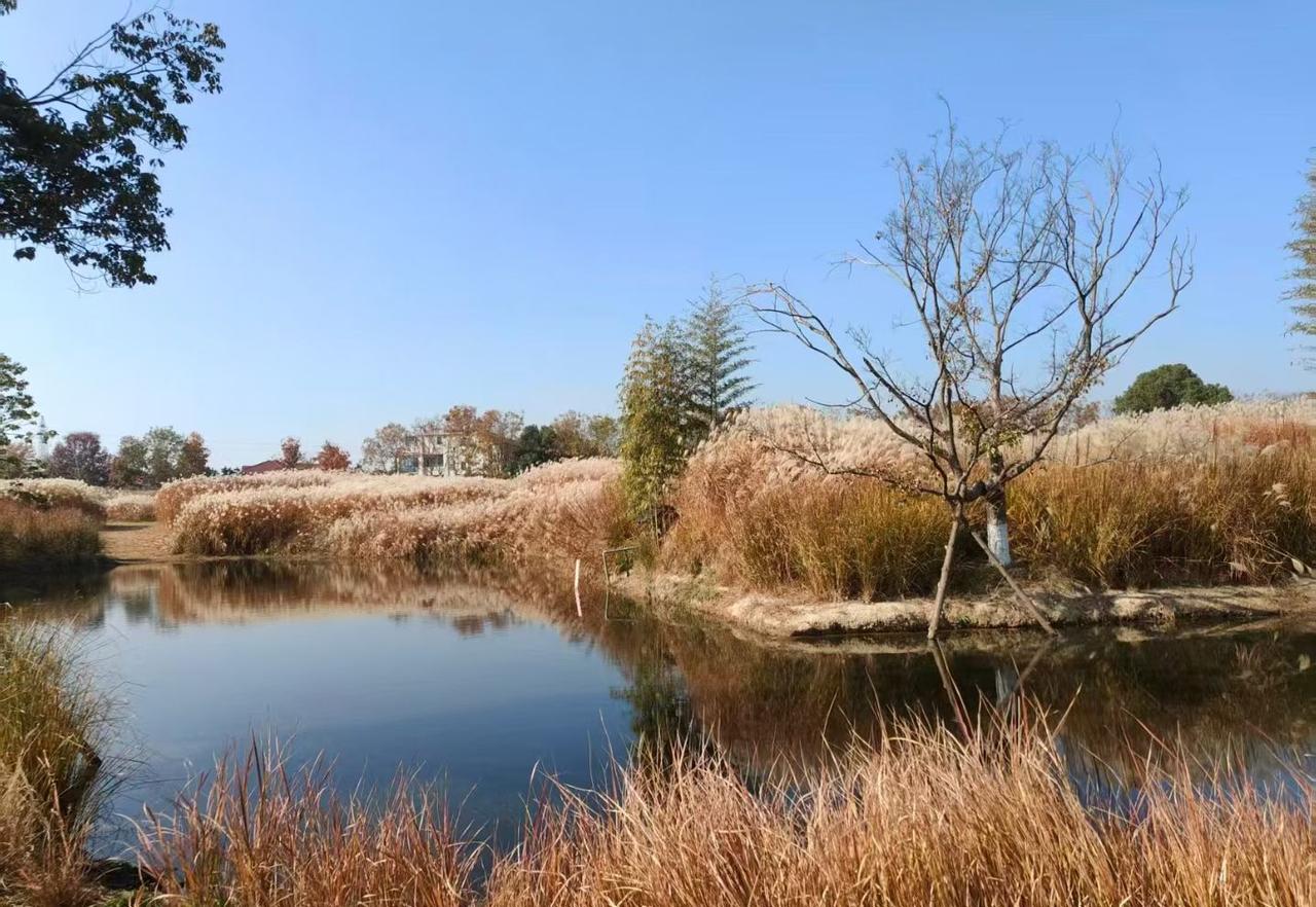 之前有个朋友，张嘴就借五千，说周转几天就还。我想着关系不错就借了，结果到日子了压