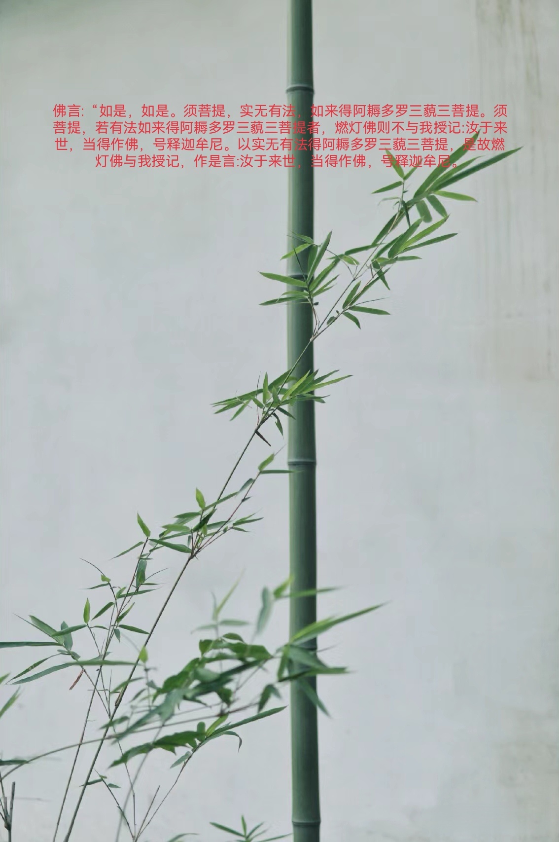 须菩提，于意云何?如来于燃灯佛所，有法得阿耨多罗三藐三菩提不?”“不也，世尊。如