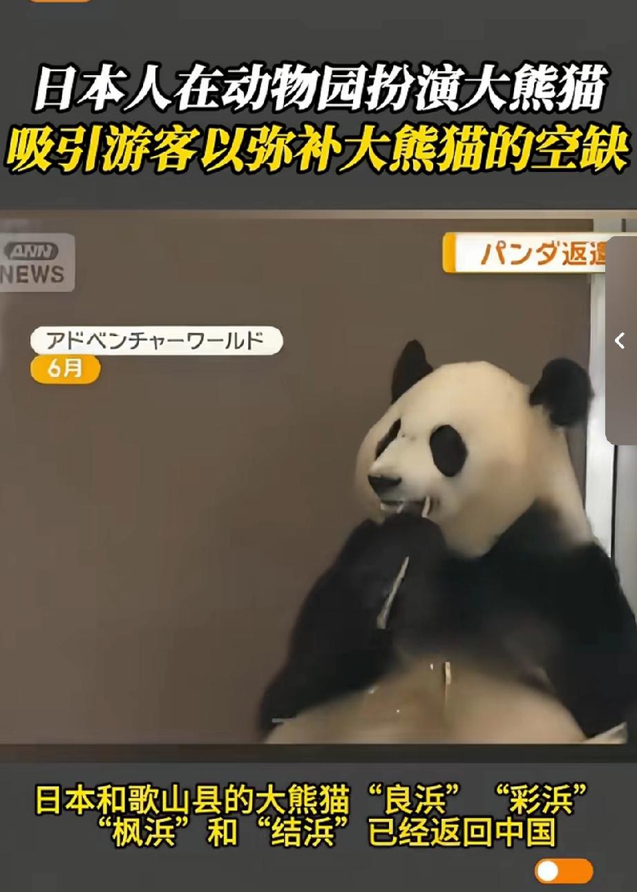 由于日本的大熊猫已经返还中国，日本人非常想念大熊猫，于是日本人在动物园用人扮演大