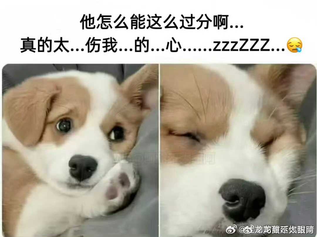 哥酱和丽酱吵完架就这么一边难过一边掉小珍珠一边睡着了