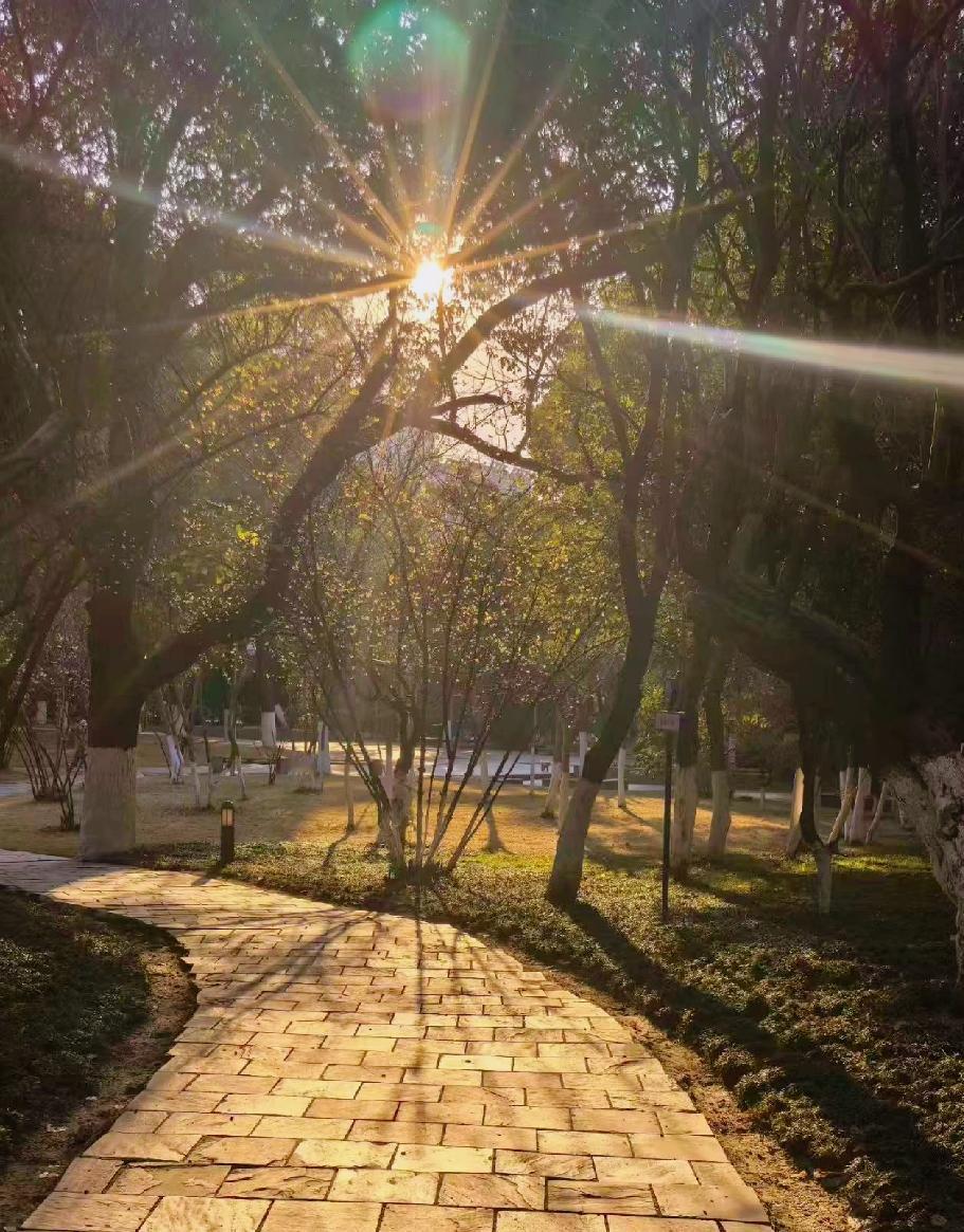 男人都喜欢年轻漂亮的女子，但男人尊重的，永远是那些刻苦勤奋和三观正的女性。女人的