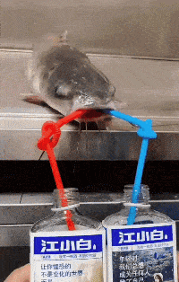 喝……喝……
喝……大了