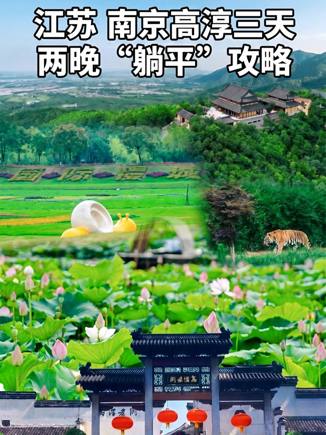 高淳三天两晚“躺平”攻略🌿7月出发正好