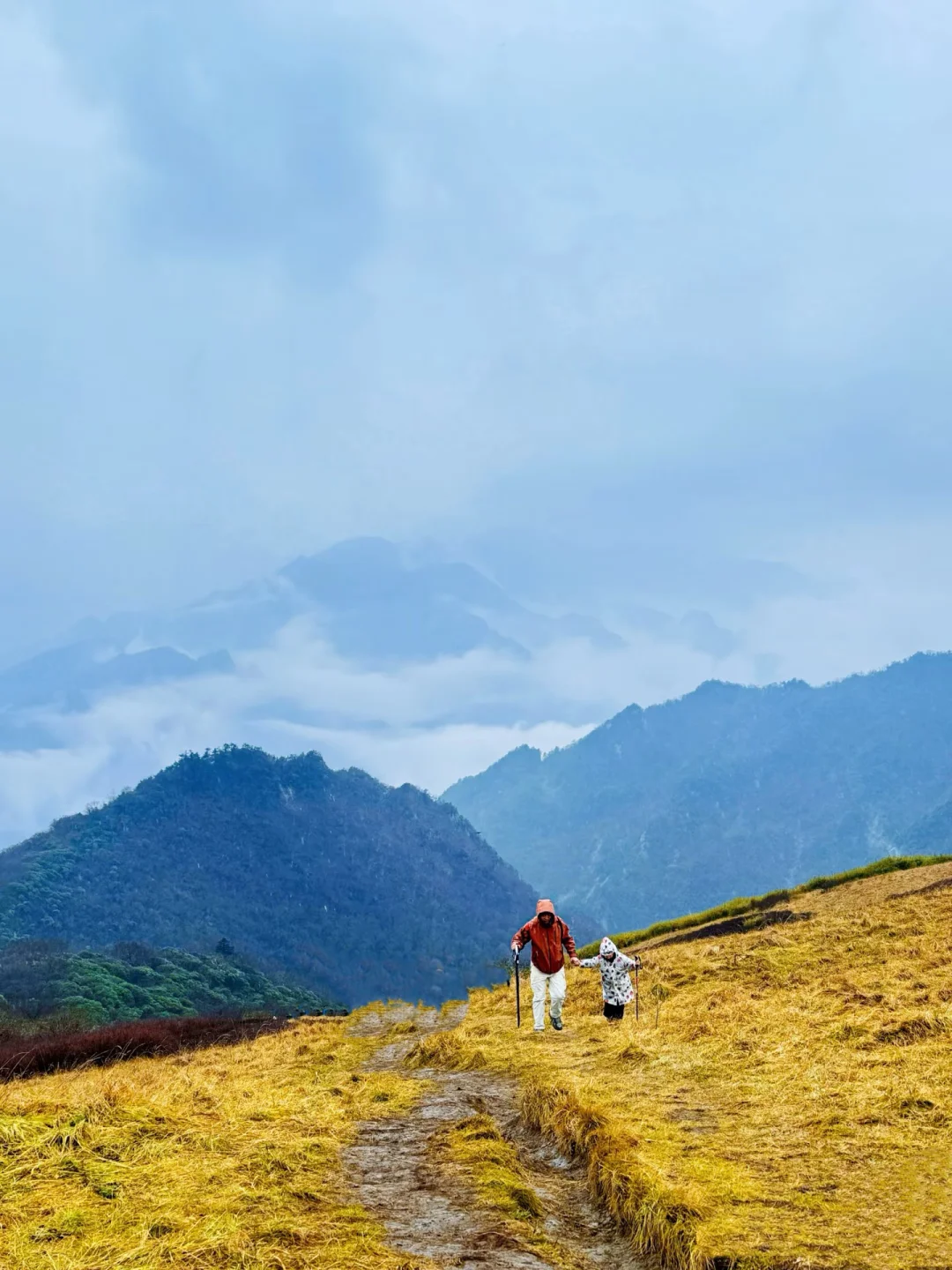 西安适合赏秋🍂6️⃣条亲子徒步路线！美爆啦！
