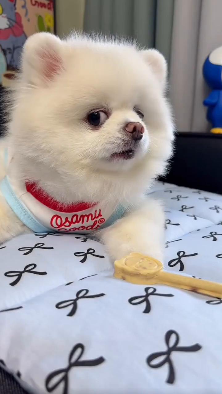 给我吃吧。