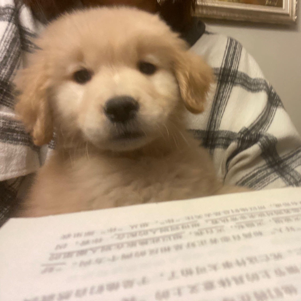 今日话题：今天是你喜欢张泽禹的第几天？ 