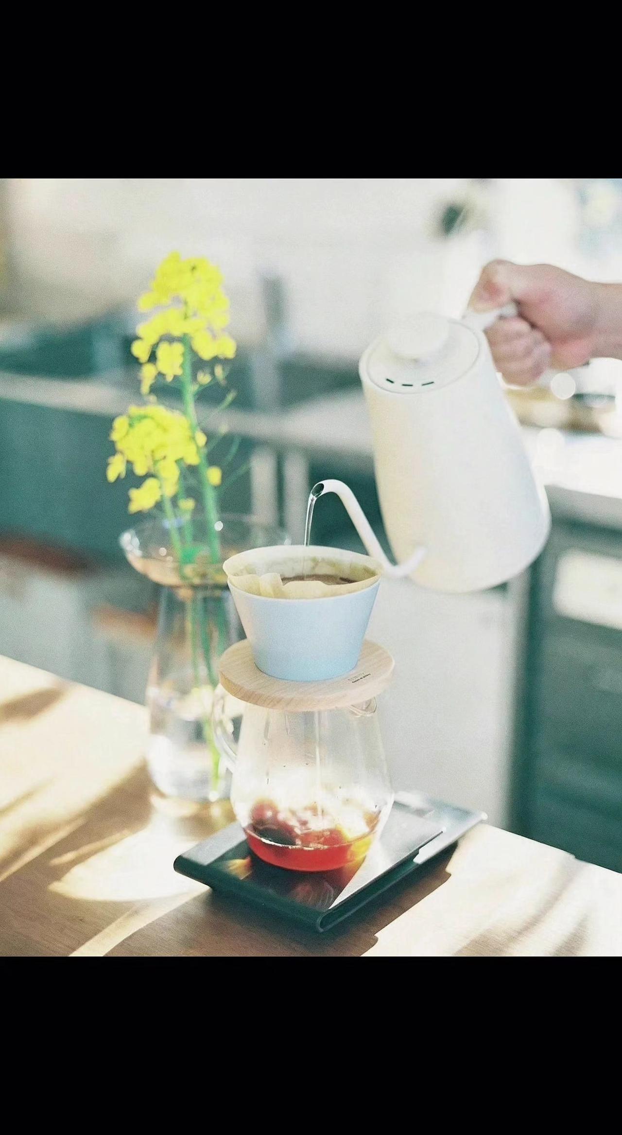 ☀️水流漫过滤纸，像时间在写诗☕️。阳光吻着花影，日子慢成琥珀⏳。