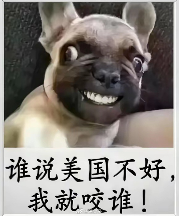 中东伊朗最新局势 这次美国被伊朗揍，最垂头丧气的是哪些些“人”？这次美国被伊朗按