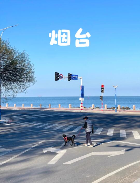 烟台旅游超全指南✌️本地人总结